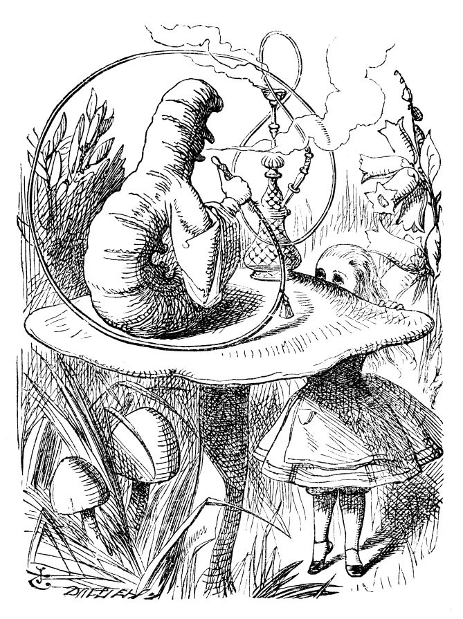 669x895 Sir John Tenniel's Classic Illustrations Of Alice's Adventures - Alice In Wonderland Drawing