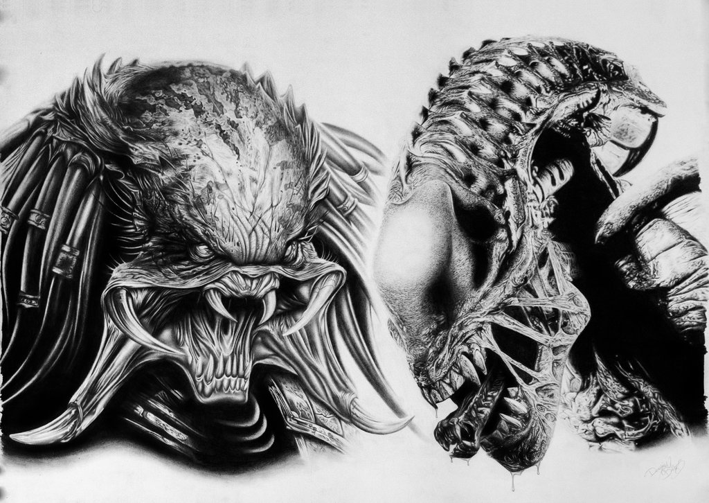1024x726 predator drawing alien vs predator for free download - Alien Vs Predator Drawing