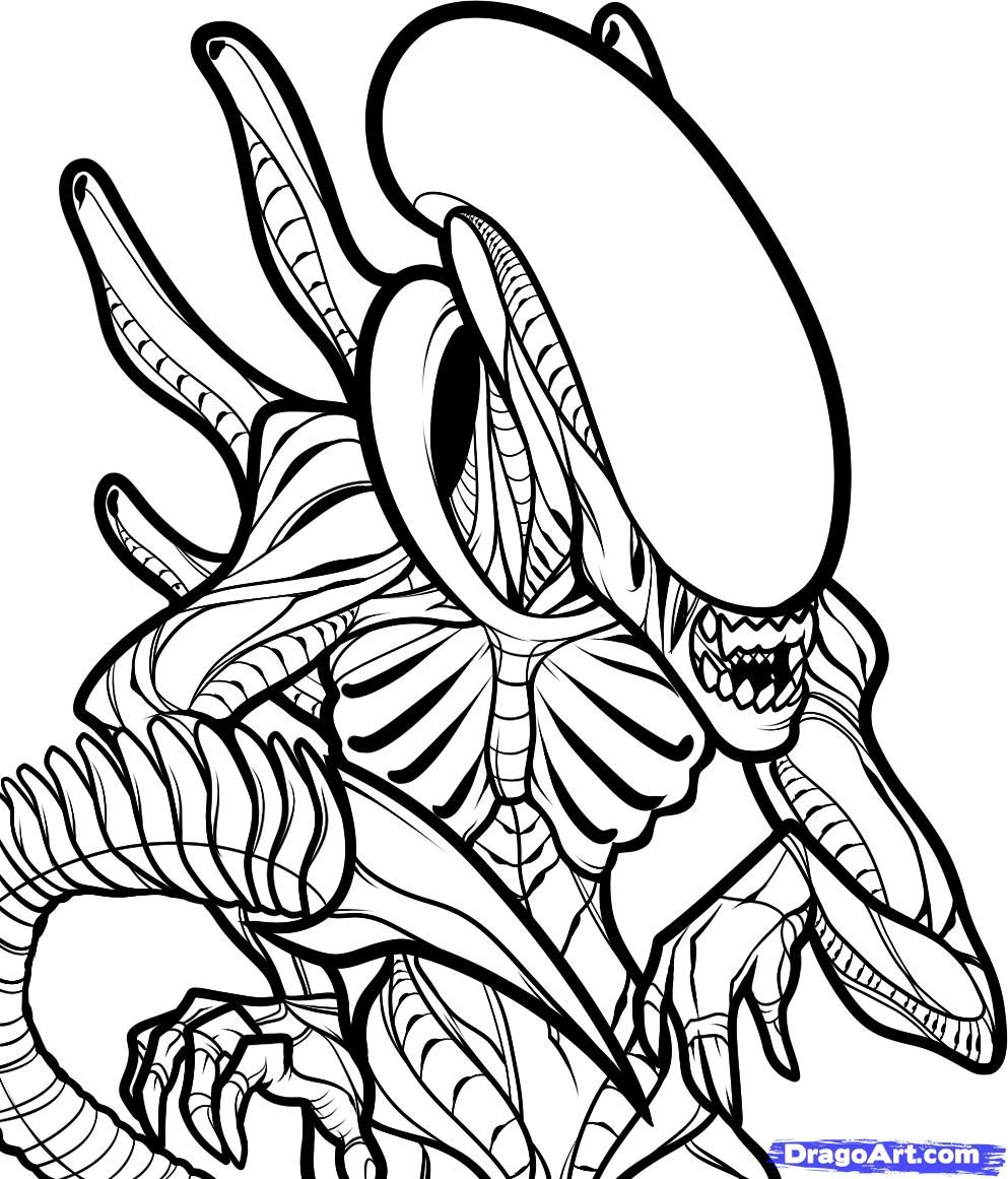 993x1161 The Alien Patterns, Projects, And Prints Coloring Pages, Fairy - Alien Vs Predator Drawing
