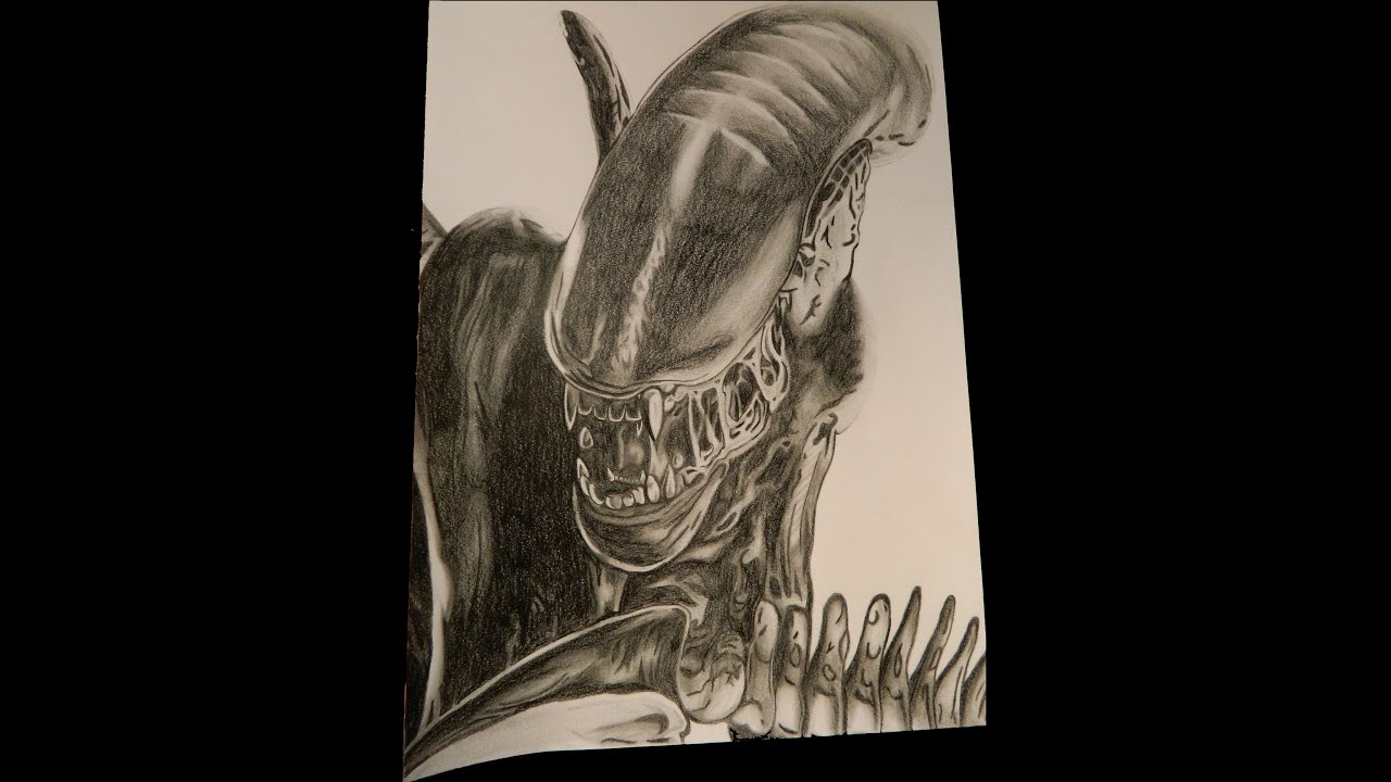 1280x720 Avp - Alien Vs Predator Drawing