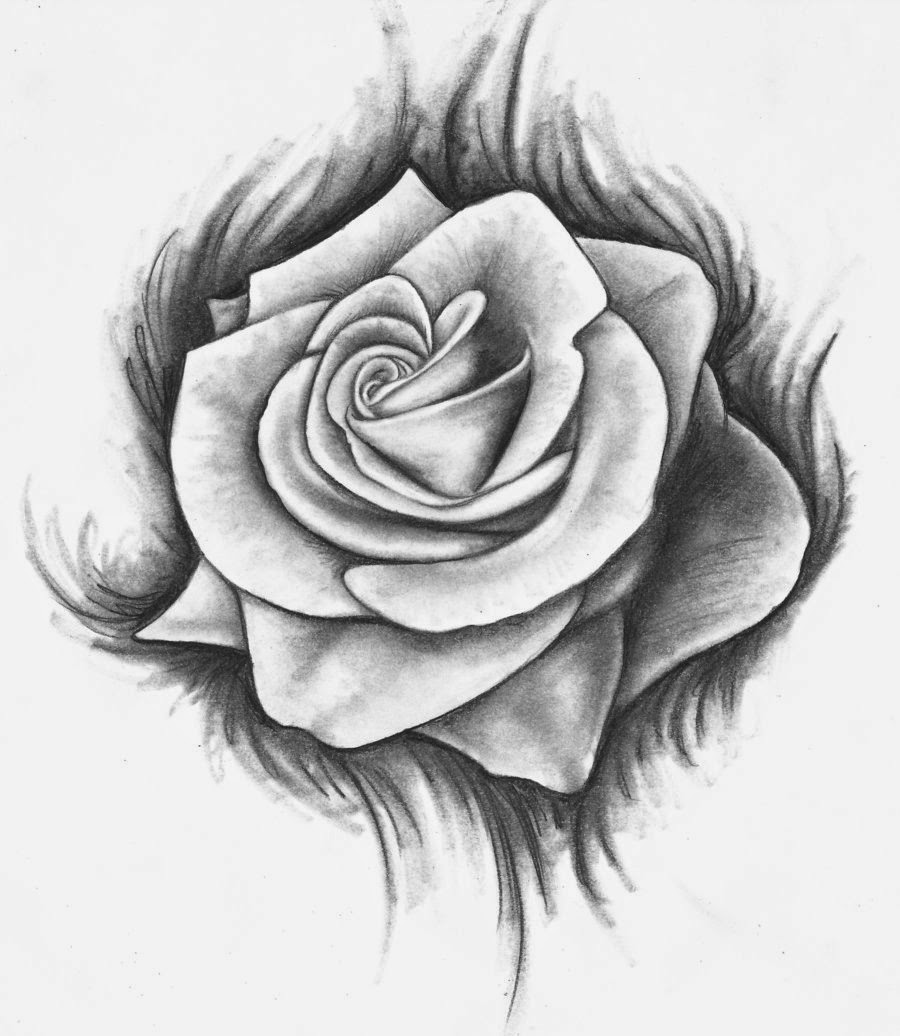 900x1036 Rose Drawing The All Image - All Drawing