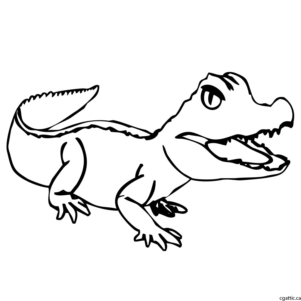 1000x1000 cartoon alligator drawing in steps with photoshop - Alligator Cartoon Drawing