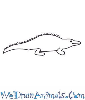 300x350 how to draw an alligator - Alligator Drawing