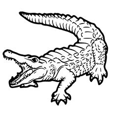 230x230 images for gt alligator drawing outline icons - Alligator Drawing