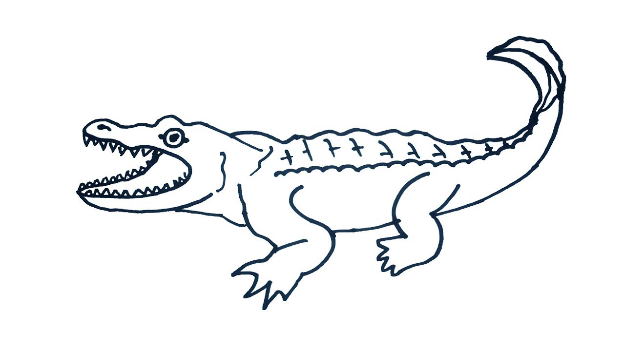 1280x720 Crocodile Drawing How To Draw Crocodile Easy Step - Alligator Drawing