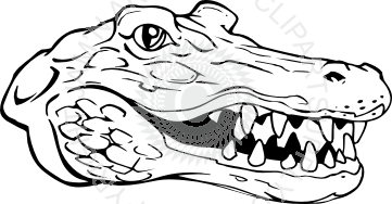361x188 Collection Of Free Drawing Head Alligator Download On Ui Ex - Alligator Head Drawing