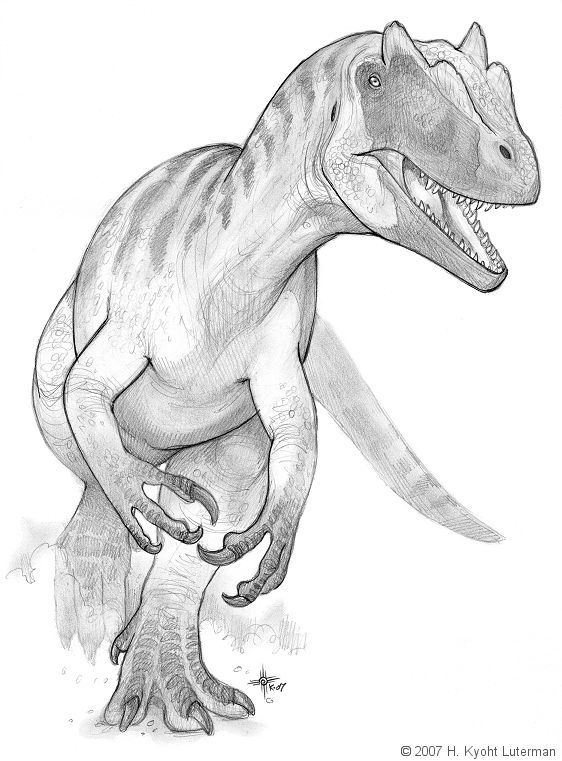 Allosaurus Drawing at Explore collection of