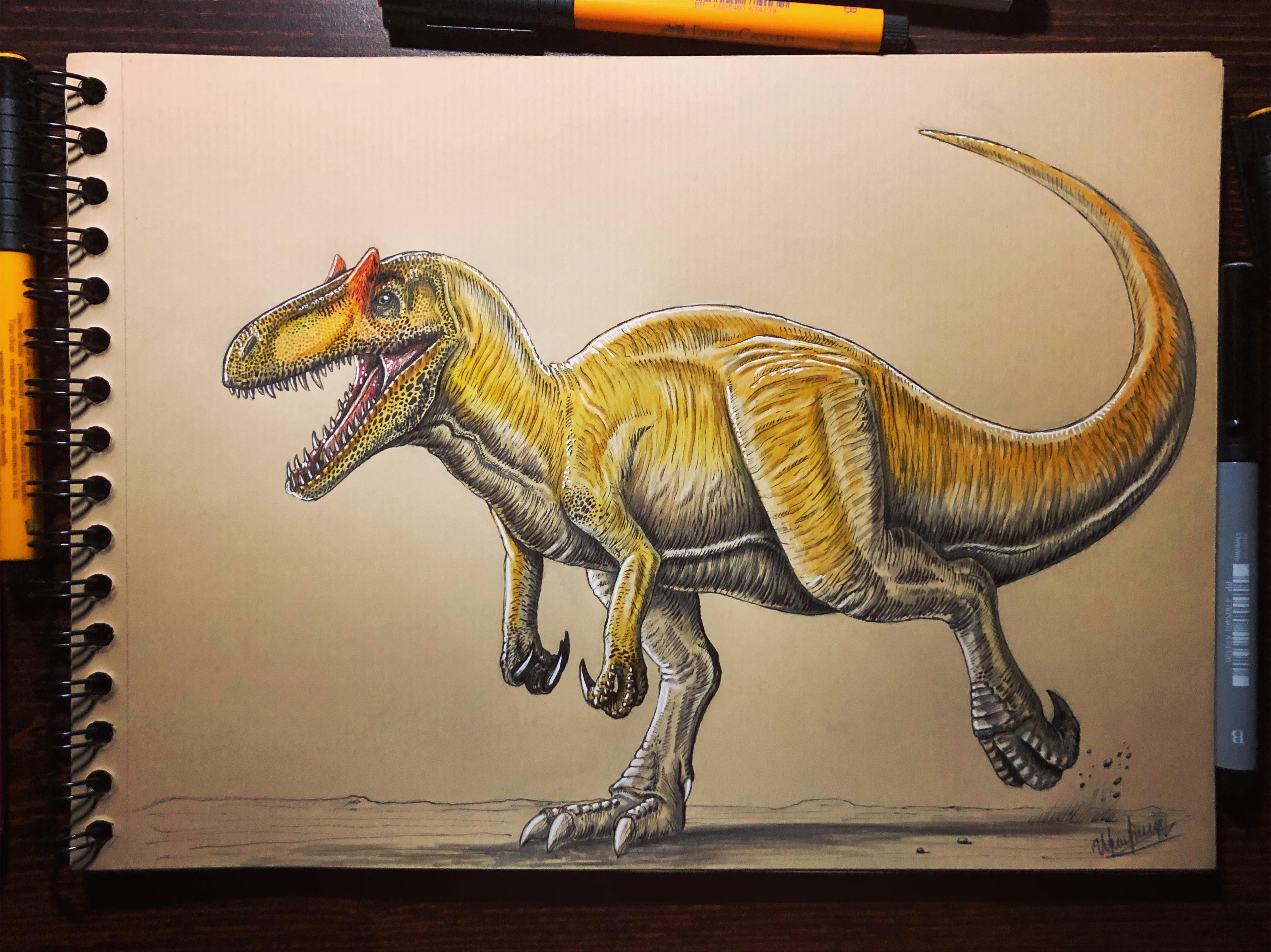Allosaurus Drawing at Explore collection of