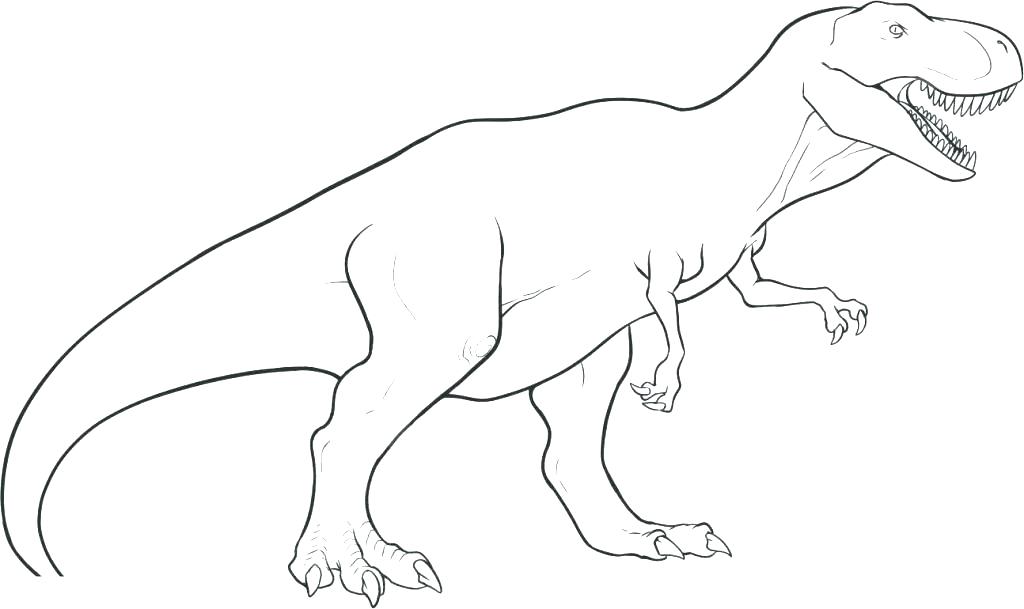 1024x609 Dinosaur Drawing Allosaurus For Free Download - Allosaurus Drawing