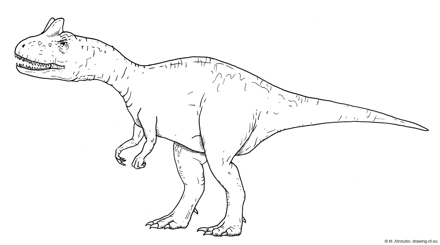 1500x835 Drawing Of Allosaurus Drawing Of Eu - Allosaurus Drawing