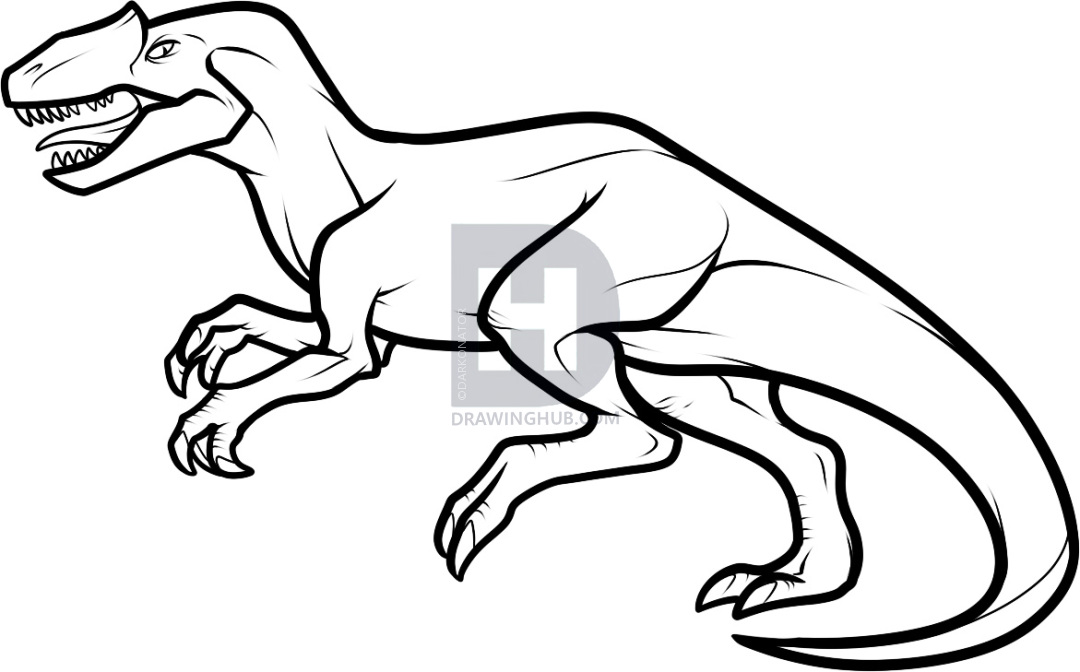1080x672 How To Draw An Allosaurus, Step - Allosaurus Drawing