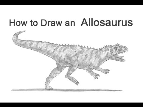 480x360 How To Draw An Allosaurus Dinosaur - Allosaurus Drawing