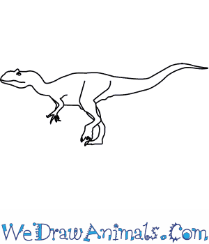 300x350 How To Draw An Allosaurus - Allosaurus Drawing