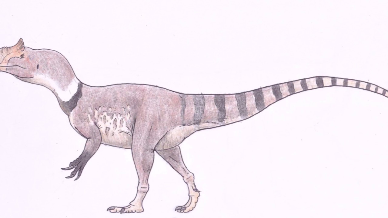 1280x720 How To Draw An Accurate Allosaurus - Allosaurus Drawing