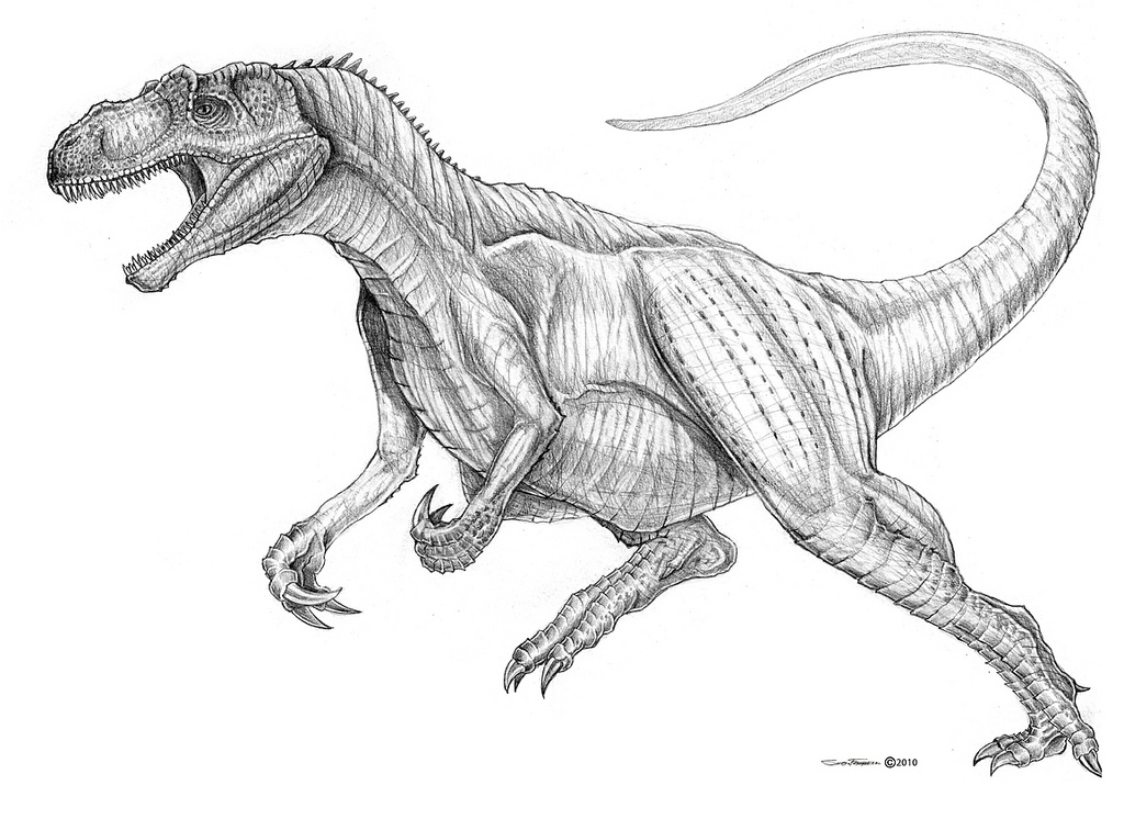 Allosaurus Drawing At Paintingvalley Com Explore Collection Of Allosaurus Drawing