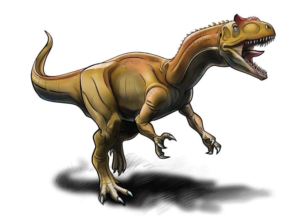 1000x727 To Draw Incredible Dinosaurs - Allosaurus Drawing