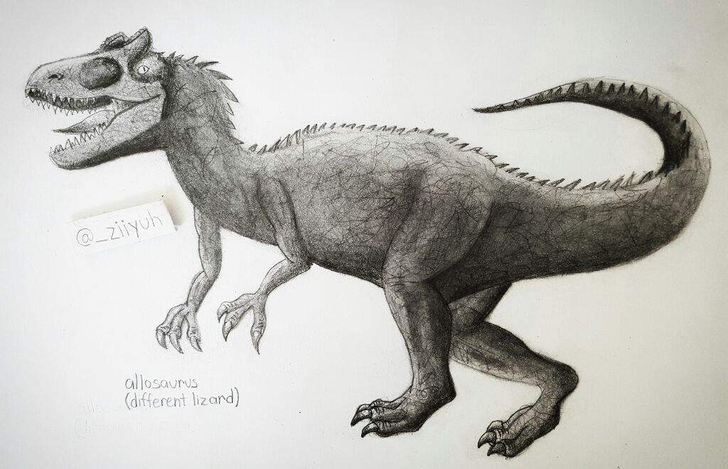 1024x661 Allosaurus Drawing! Jurassic Park Amino - Allosaurus Drawing
