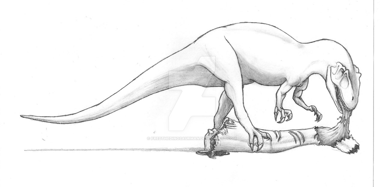 1278x625 Allosaurus And Carcass Recreation - Allosaurus Drawing