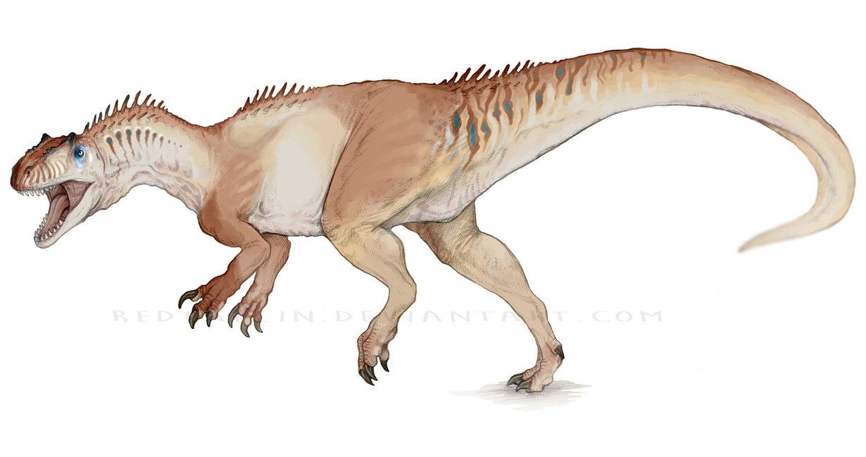 1230x649 Allosaurus - Allosaurus Drawing