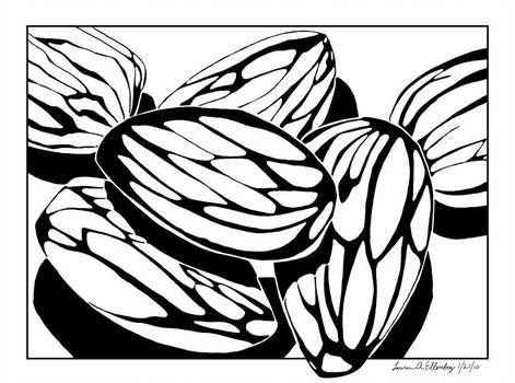 471x350 almond spot drawing - Almond Drawing