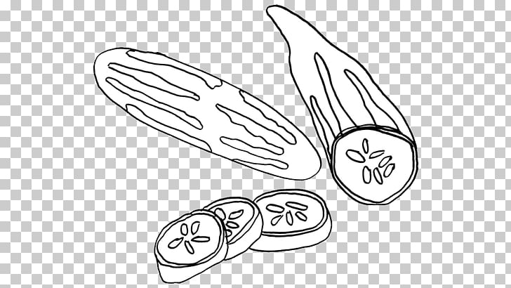 728x410 vegetable drawing cucumber fruit realistic almond png clipart - Almond Drawing