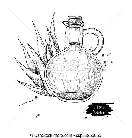 450x470 aloe vera juice in pitcher bottle hand drawn vector illustration - Aloe Vera Drawing