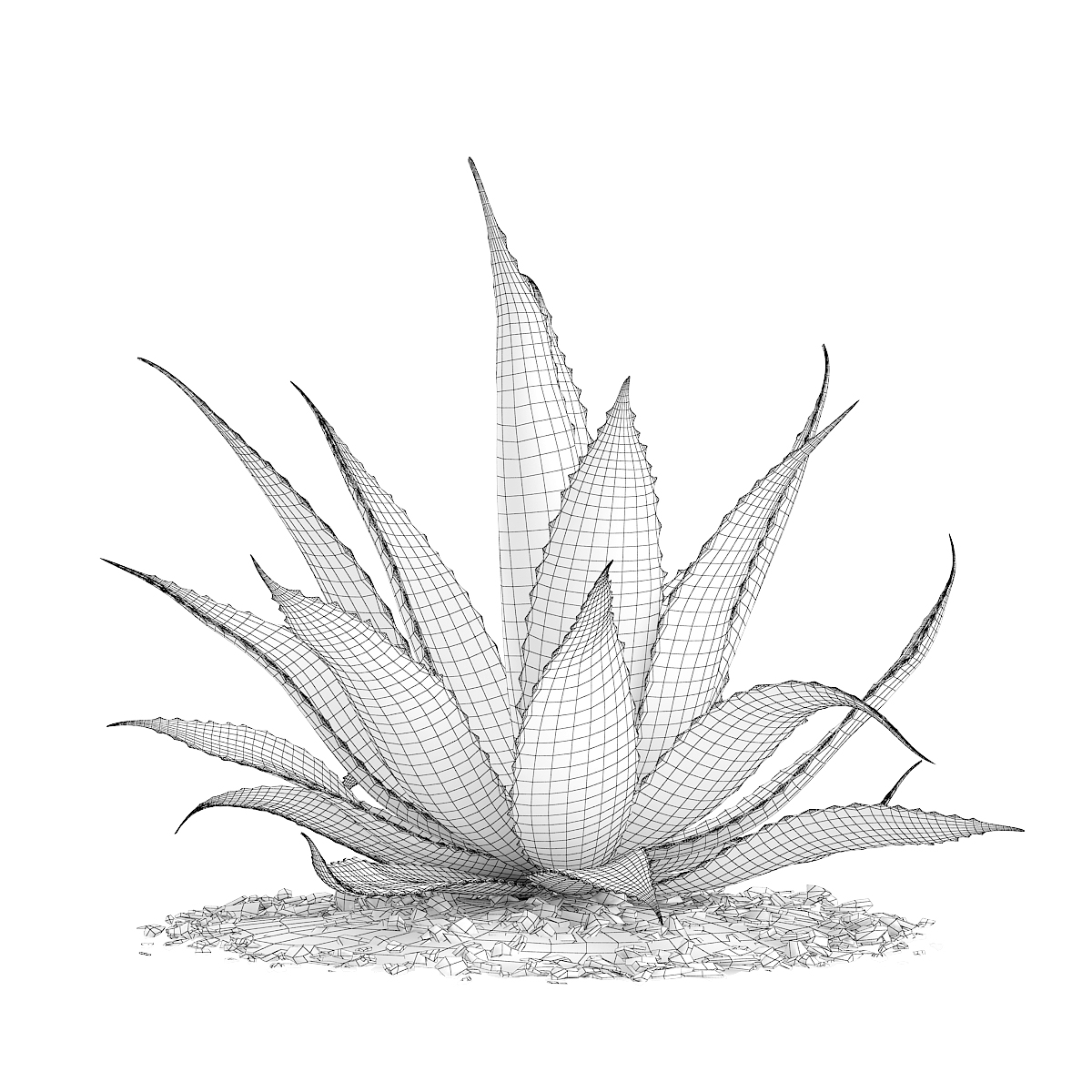 1200x1200 aloe - Aloe Vera Drawing
