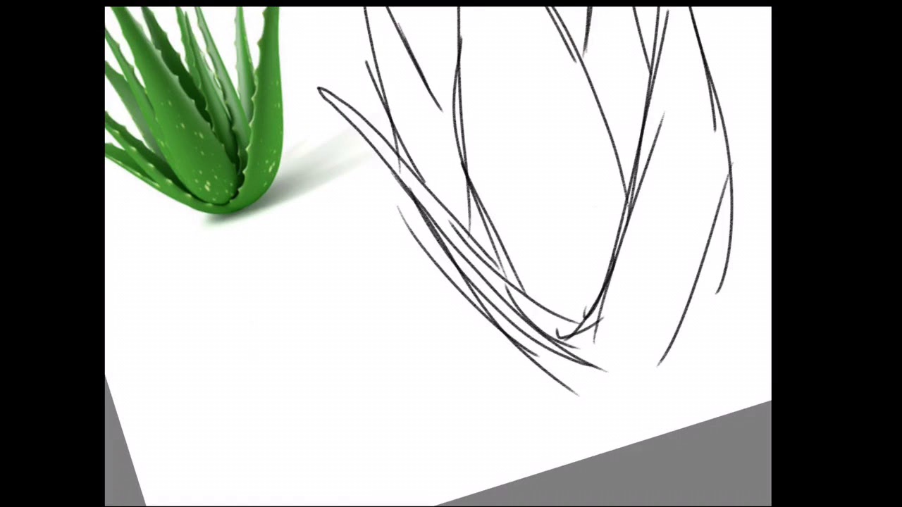 1280x720 cute aloe vera - Aloe Vera Drawing