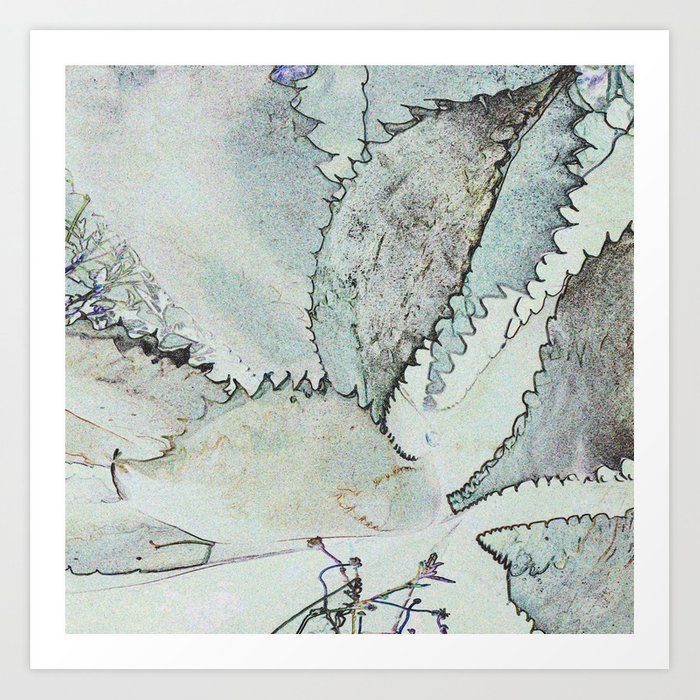 700x700 aloe vera drawing art print - Aloe Vera Drawing