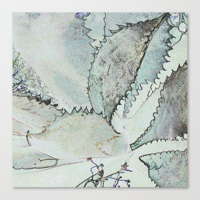 700x700 aloe vera drawing canvas print - Aloe Vera Drawing