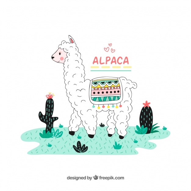 626x626 lovely hand drawn alpaca character vector free download - Alpaca Drawing