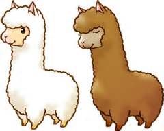 240x191 alpaca images line drawings - Alpaca Drawing