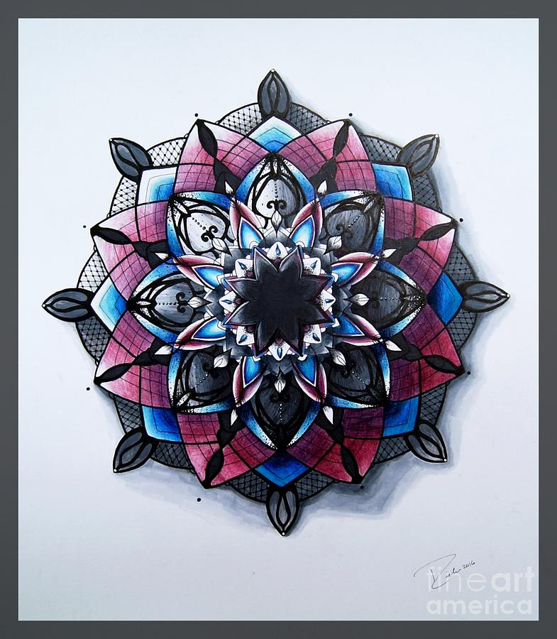 785x900 Amaryllis Drawing - Amaryllis Drawing