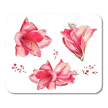 425x425 Boszina Mouse Pads Aquarelle Pink Exotic Watercolor - Amaryllis Drawing
