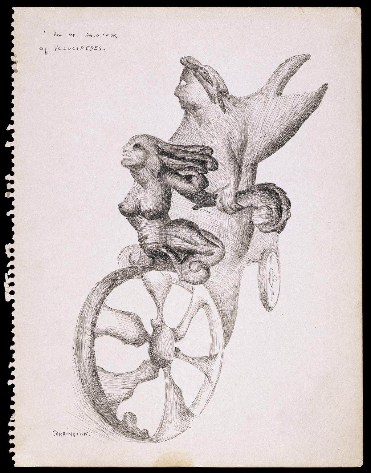 1204x1536 i am an amateur of velocipedes', leonora carrington, tate - Amateur Drawing