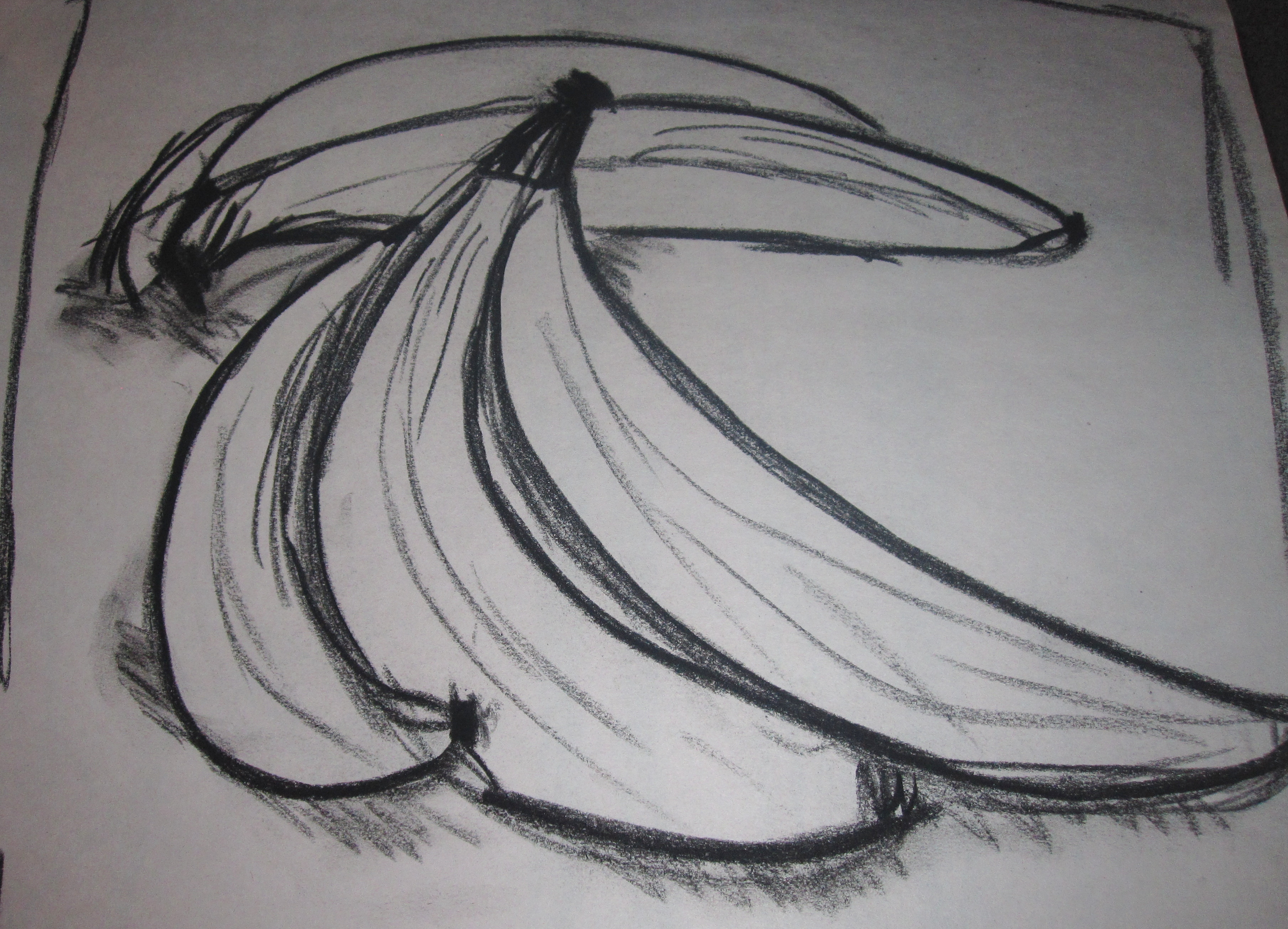 3615x2609 Adventures In Amateur Artwork - Amateur Drawing