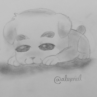 320x320 Really Amateur Pencil Drawing Of Kk Slider,, I Love Animal - Amateur Drawing