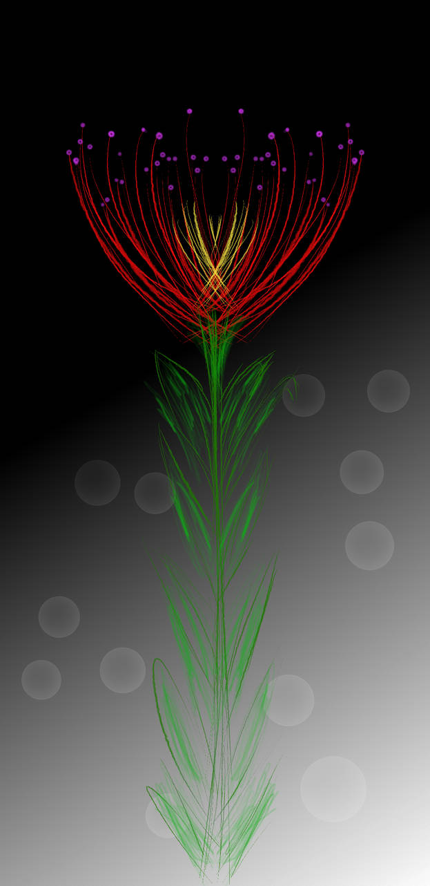 623x1282 Amature Drawing - Amature Drawing