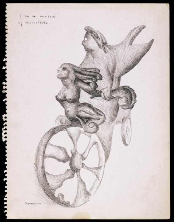 572x730 i am an amateur of velocipedes', leonora carrington, tate - Amature Drawing