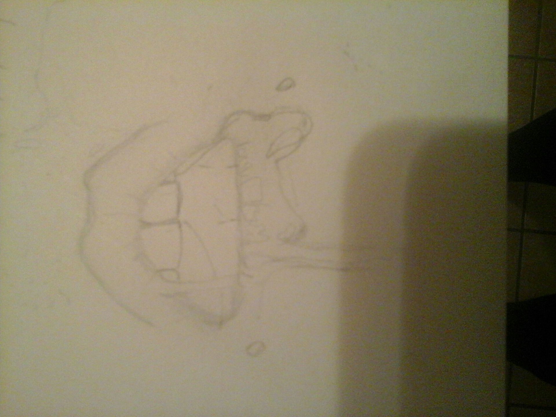 1920x1440  - Amature Drawing