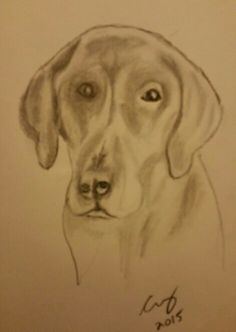 236x332 best amature artist images artist, artists, craft projects - Amature Drawing