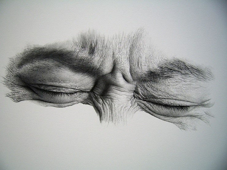 740x555 Amazing Drawings - Amazing Drawings