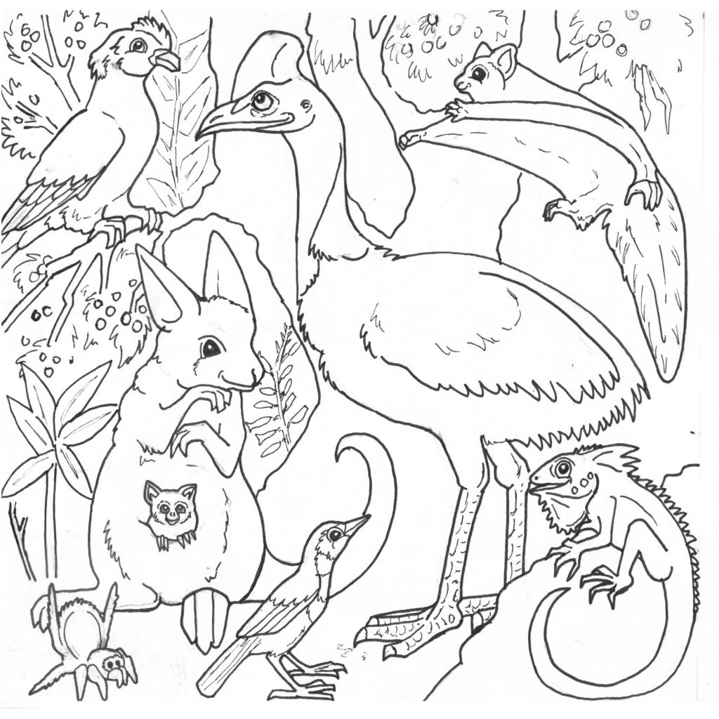 1024x1024 coloring pages the daily art of lemurkat colouring pages adult - Amazon Rainforest Drawing