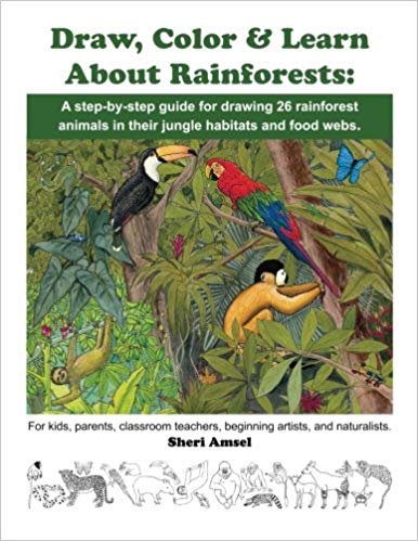 386x499 draw, color learn about rainforests a step - Amazon Rainforest Drawing