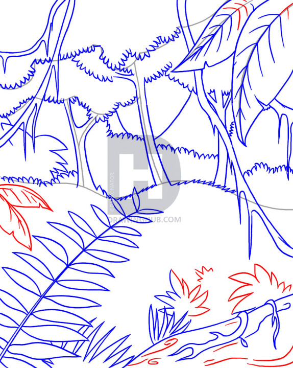 Amazon Rainforest Drawing at Explore collection of