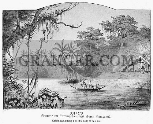 500x406 image of amazon jungle - Amazon Rainforest Drawing