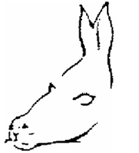 200x220 Ambiguous Illusions - Ambiguous Drawing