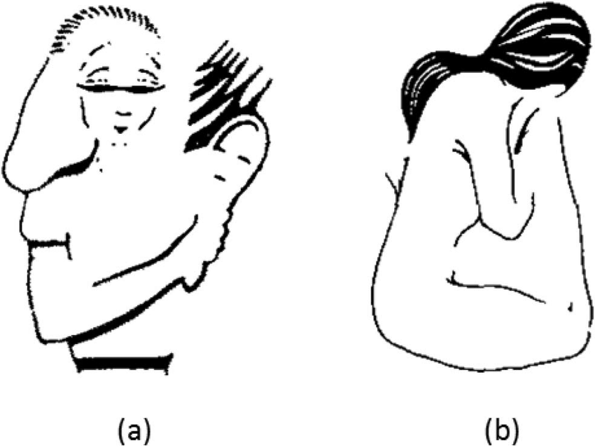 Ambiguous Figures Psychology Definition