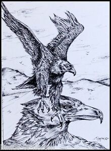 American Eagle Drawing