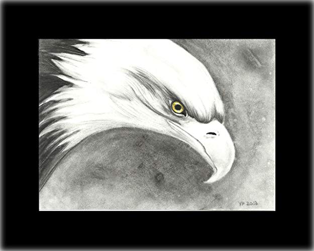 625x500 American Bald Eagle Drawing Handmade - American Eagle Drawing
